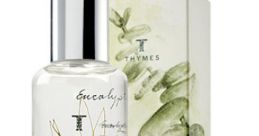 A Delicate Female Timbre That Will Imbue Your Project with Vitality and a Uniquely Delightful Fragrance