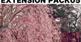 GENSO Storage Archives EXTENSION PACK05 Touhou - Video Game