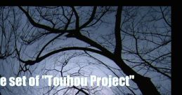 House set of ''Touhou Project'' Rare Tracks Touhou 例大祭11 - Video Game