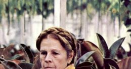 Harold and Maude Harold and Maude is a cult movie sensation from 1971 directed by Hal Ashby. This dark comedy, filled with