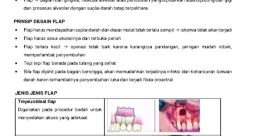 Flap
