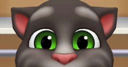 Tom Cat