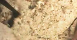 Bone Tomahawk Trailer