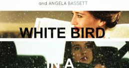 White Bird in a Blizzard Trailer