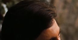 The Godfather (1972) The Godfather is a 1972 American crime film directed by Francis Ford Coppola. Adapted from Mario