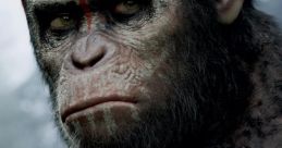 Dawn of the Planet of the Apes TV Spot