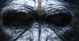 Dawn of The Planet of The Apes Teaser