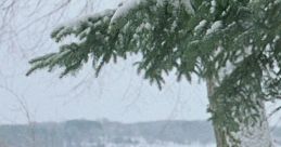 Fargo (1996)