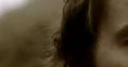 Damien Rice - The Blower's Daughter
