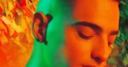 Maluma - Carnaval