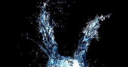 Donnie Darko (2001)