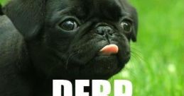 Derp (fixed)