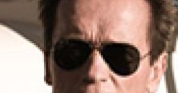 Arnold Schwarzenegger - The Last Stand