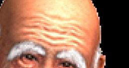 Shun Di - Virtua Fighter 4 - Evolution