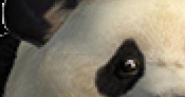Panda - Tekken