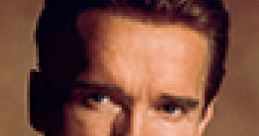 Arnold Schwarzenegger - True Lies