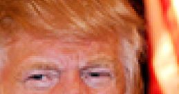 Donald Trump - Rosie O'Donnell