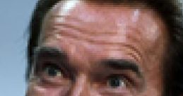 Arnold Schwarzenegger - DVD Commentary