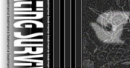 BEATING SURVIVER -cyber arrangement from "beatmania"- - Video Game