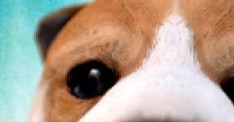 Dog Simulator 2015 - Video Game Video game from Dog Simulator 2015 for Android, iOS. Published by Swift Apps LLC (2014).