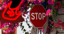 Colorful bougainvillea flowers frame a stop sign, creating a vibrant urban scene with a playful, abstract character.