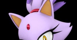 Blaze the Cat, voiced by Erica Schroeder, striking a confident pose with a regal look and purple attire.