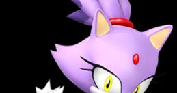 Erica Schroeder - Blaze The Cat