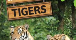 Tigers Library
