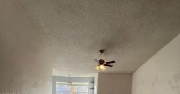 American Male West Palm Beach, Florida 2741 Village Blvd, Apt 104, 33409, Jay-Nathan Deshauteur 12yo, Black Male A legacy