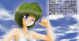 SUMMER [Disk-P] - Video Game