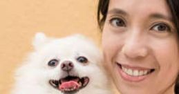 Pets