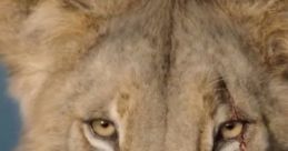 Scar Kevin Harrison Jr.