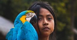 Traveller Parrot