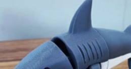 Shark With Shoes