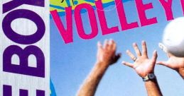 Malibu Beach Volleyball - Video Game