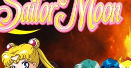 Ranma 1-2 Vs Sailor Moon - Video Game