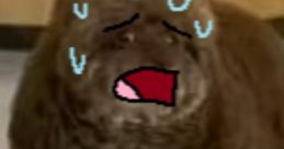 Fluffy dog with a cartoonish face, appearing distressed, showcasing a humorous and playful expression.