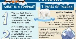 Tundra