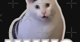 Huh