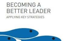 Diligent Leader