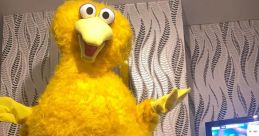 Big Bird V2.0