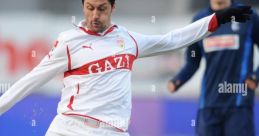 Ciprian Banari 2013 Germany Freiburg