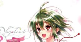 Fruited Vagabond Vol.3 - Video Game
