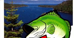 The Black Bass USA - Video Game