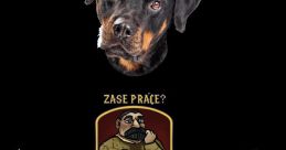 Zase práce