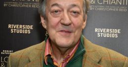 Stephen Fry V2