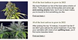 Sativas