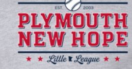 Plymouth New Hope Little League hoodie featuring baseball graphic, celebrating PNHLL 9u All-Stars 2025. Perfect for fans!