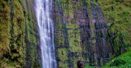Maui