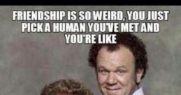 Will Ferell Step Bros